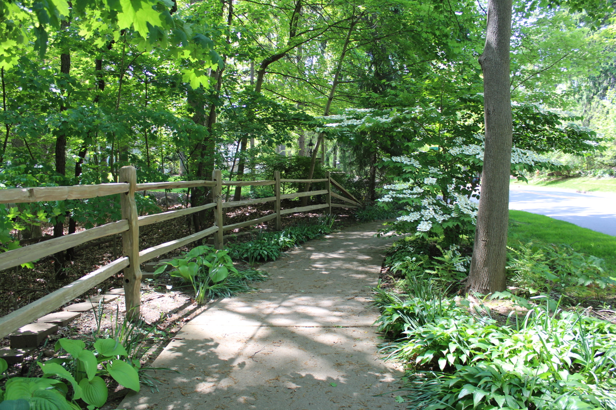 A sidewalk with tree coverings. 
